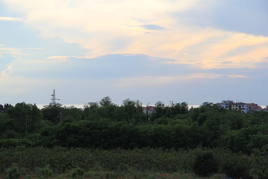 Apartments Jasna 우마그 외부 사진